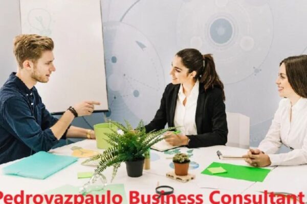 Pedrovazpaulo Business Consultant