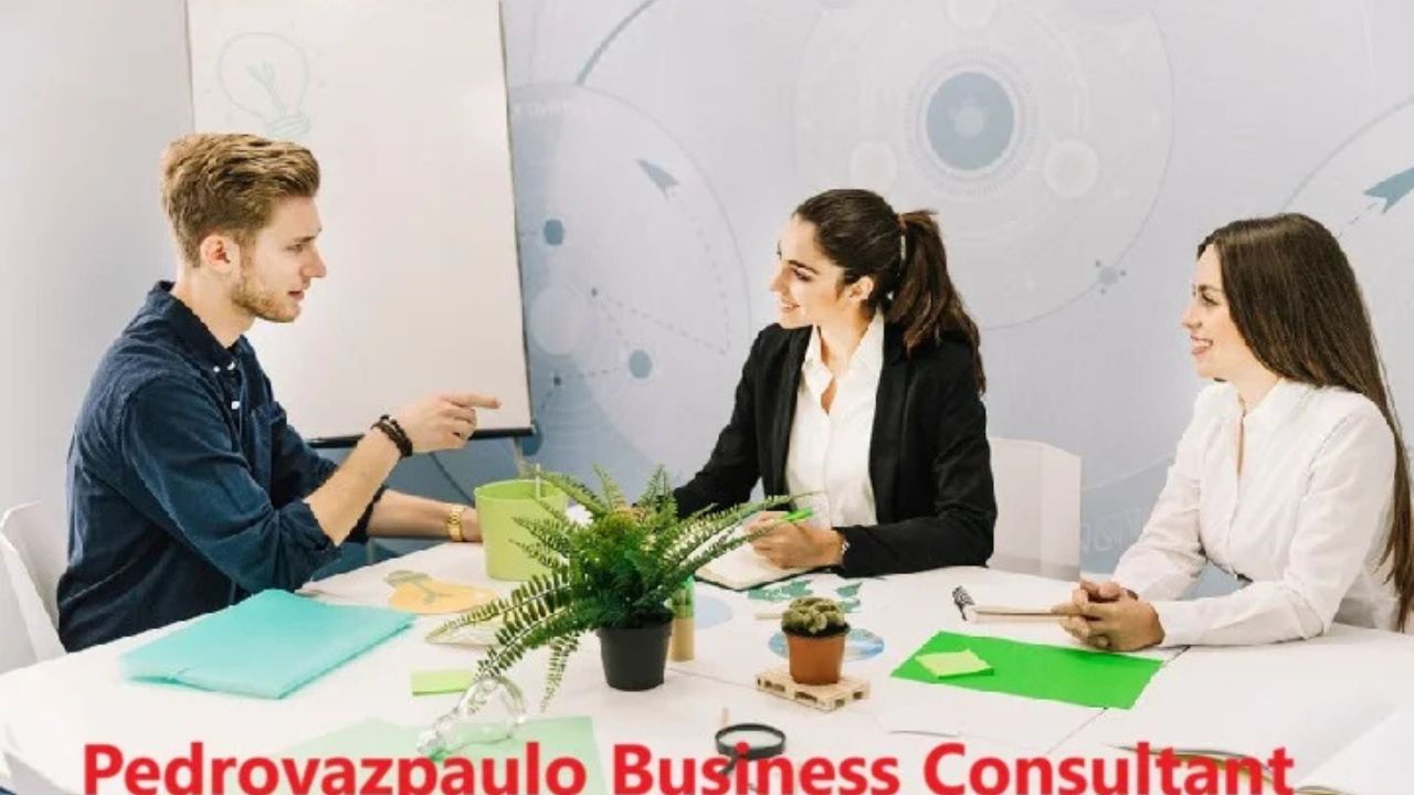 Pedrovazpaulo Business Consultant